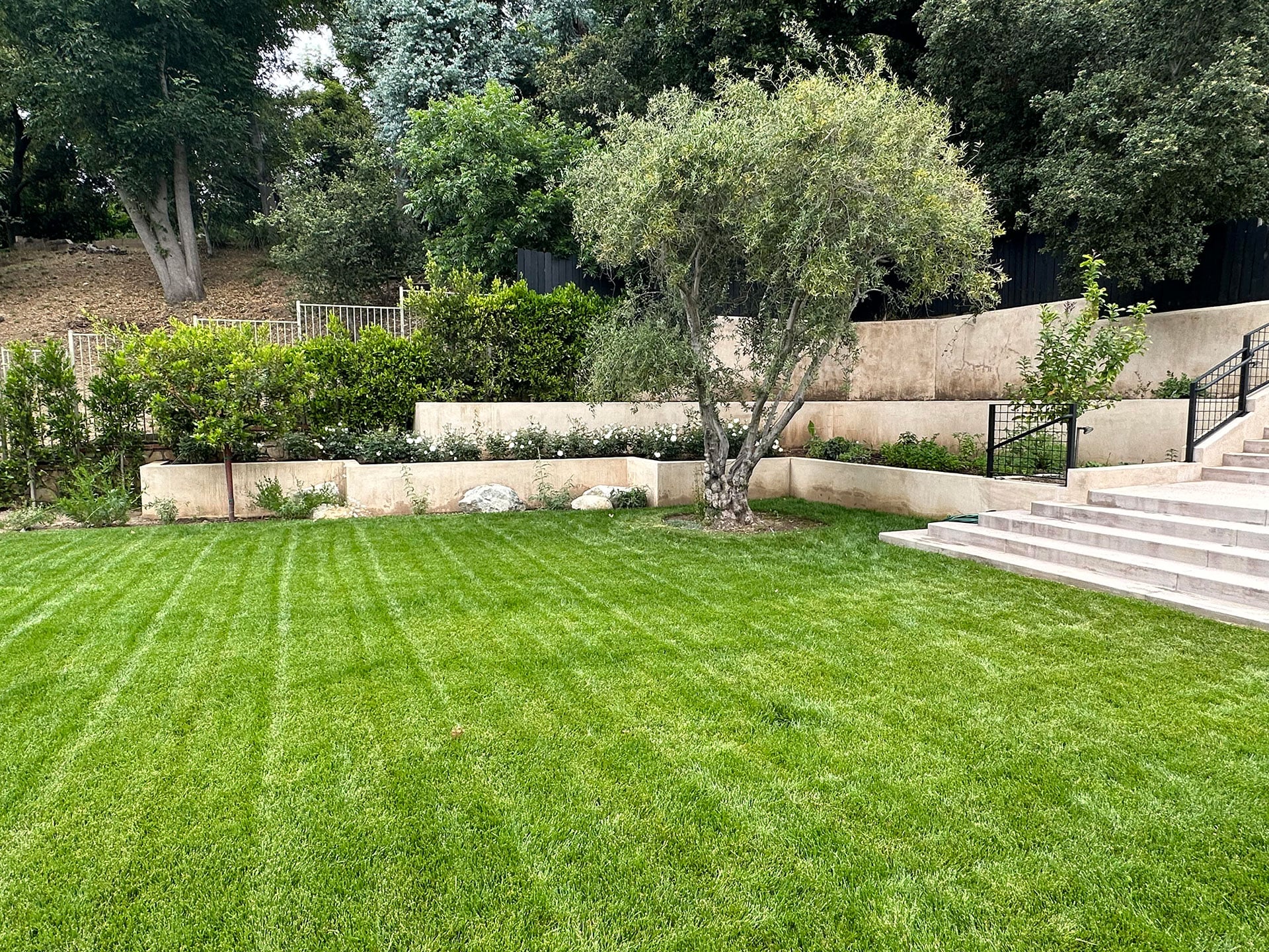 Mandeville Canyon Road image 8