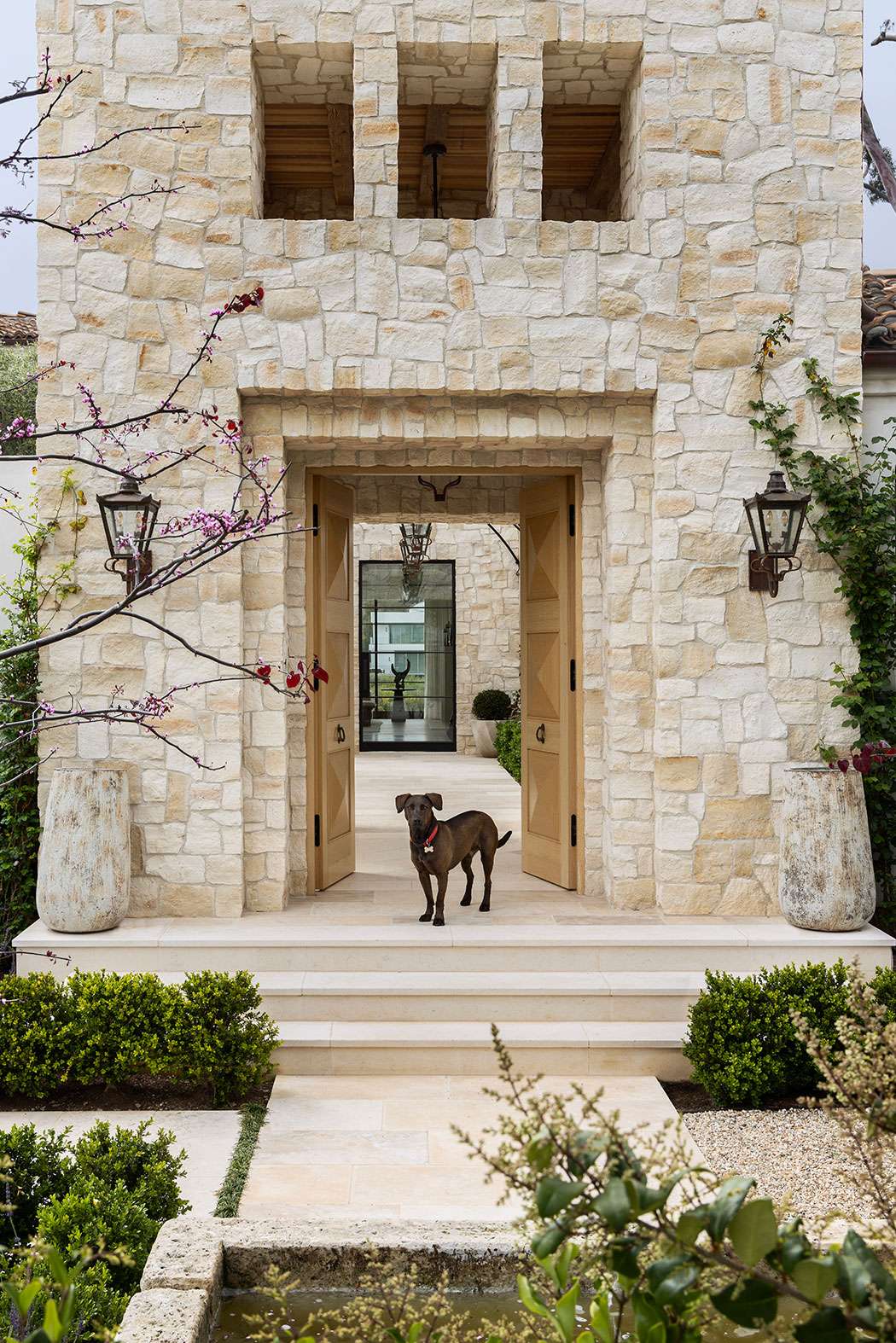 Alma Real Drive image 1